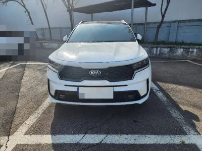 2021 Kia Sorento KNARL81BGMA107329 VIN:KNARL81BGMA107329