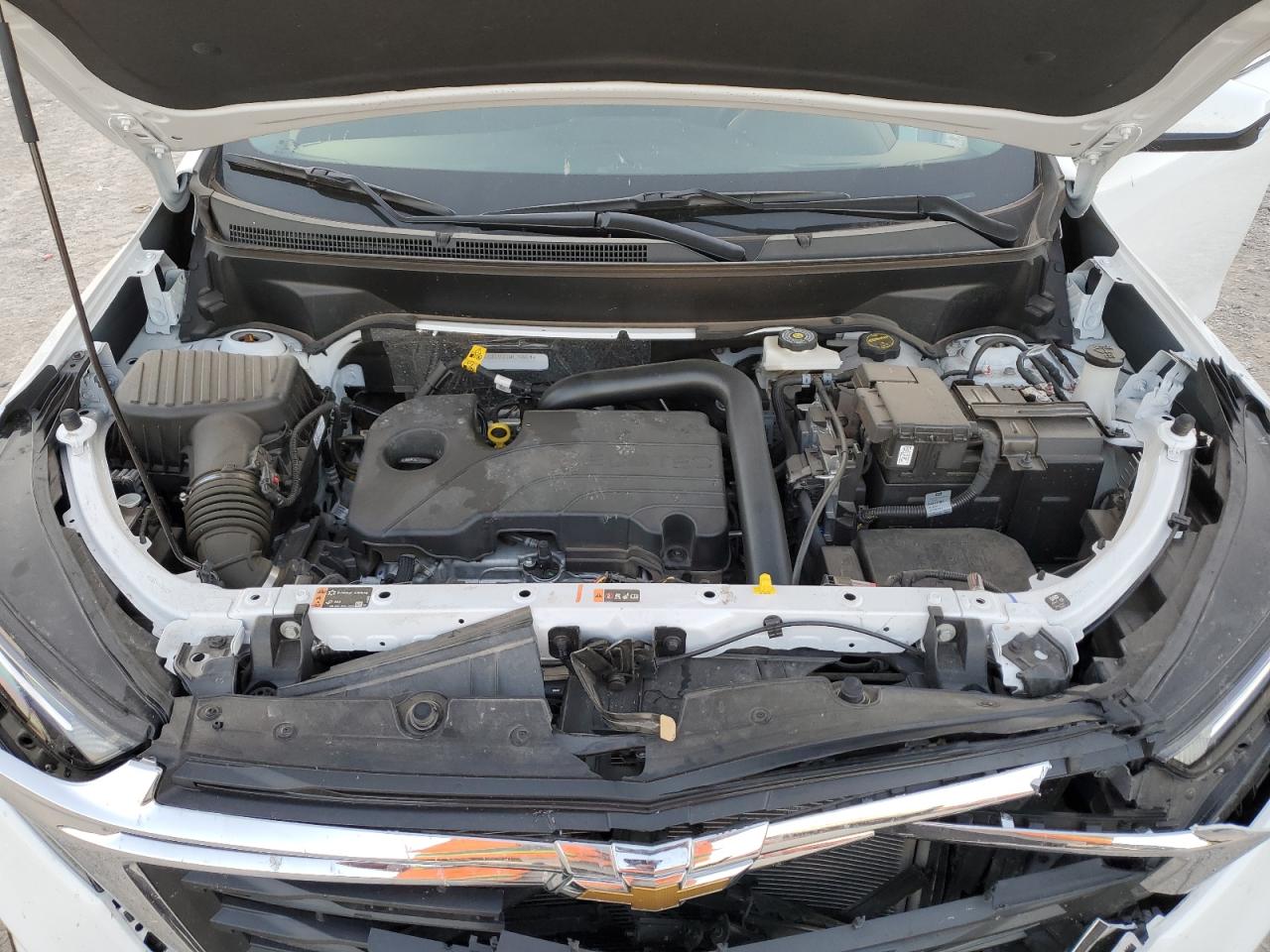 2024 CHEVROLET EQUINOX LT VIN:3GNAXKEG8RL248604