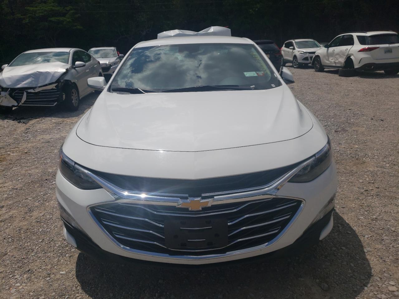 2023 CHEVROLET MALIBU LT VIN:1G1ZD5ST3PF224282