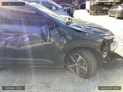 2018 Hyundai Kona KMHK3816GJU254429 VIN:KMHK3816GJU254429