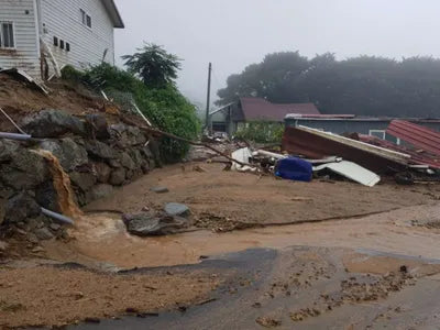 2019 Mercedes-Benz S 350 WDDUF2BB4KA489130 VIN:WDDUF2BB4KA489130