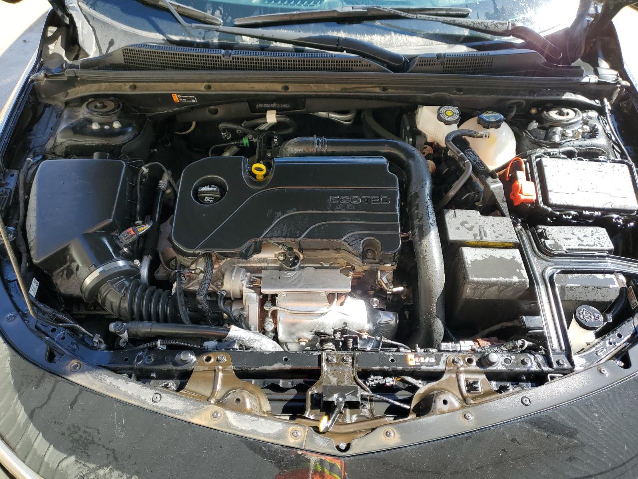 2024 CHEVROLET MALIBU LT VIN:1G1ZD5ST0RF218166