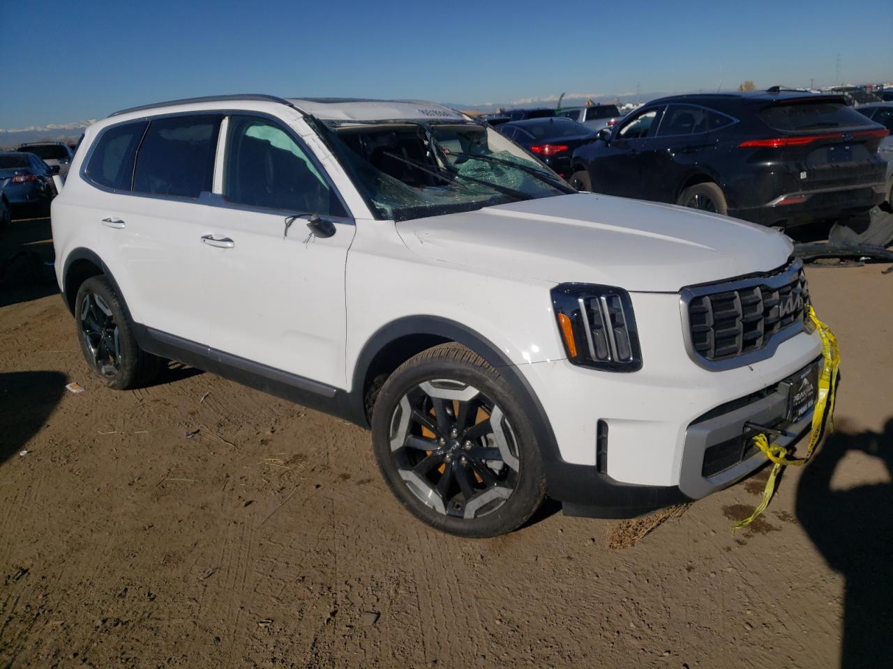 2024 KIA TELLURIDE S VIN:5XYP6DGCXRG558286