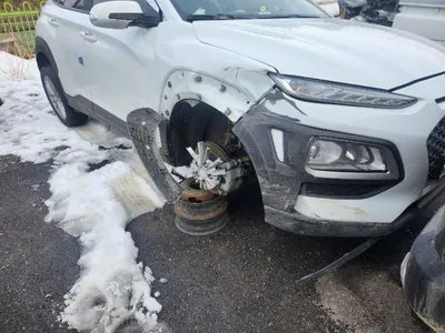 2020 Hyundai Kona KMHK4815GLU486967 VIN:KMHK4815GLU486967