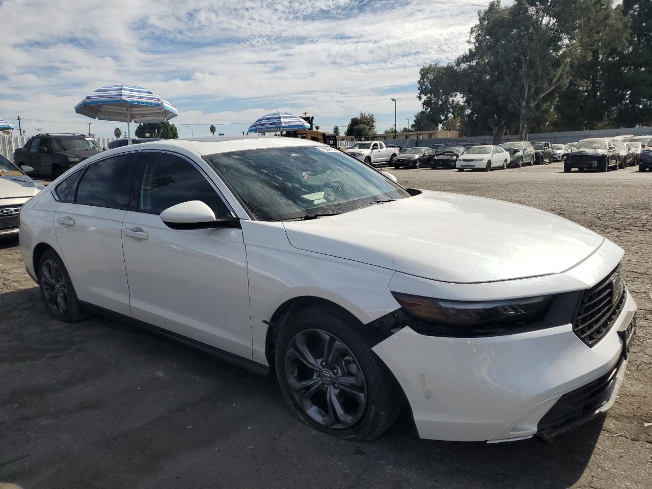 2024 HONDA ACCORD EX VIN:1HGCY1F32RA036231