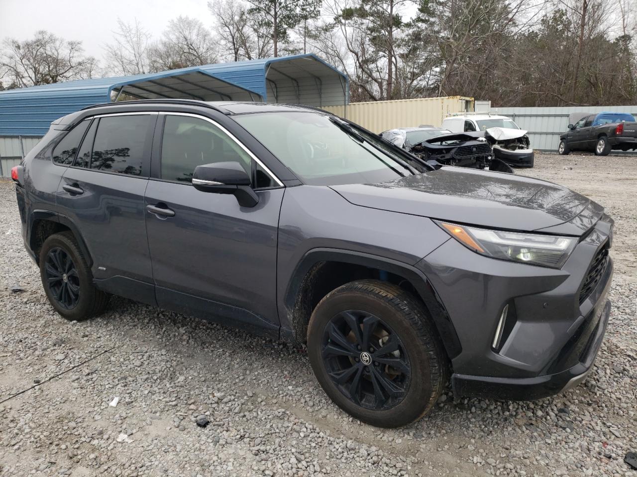 2024 TOYOTA RAV4 XSE VIN:JTME6RFV0RD560232