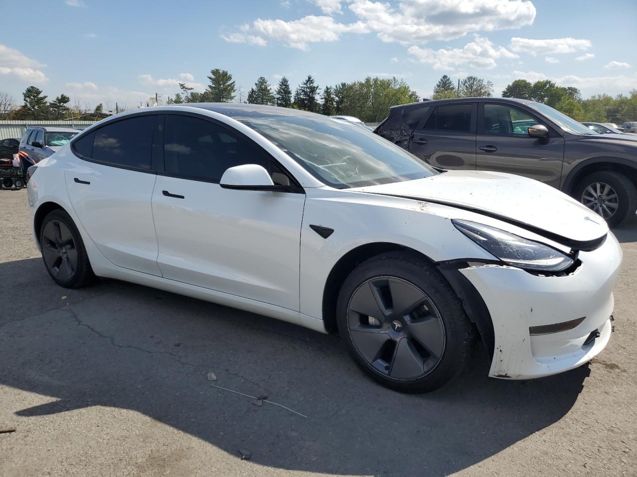 2023 TESLA MODEL 3  VIN:5YJ3E1EA5PF454360