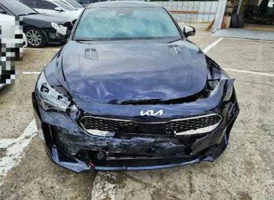 2022 Kia Stinger KNAE551CDNS117023 VIN:KNAE551CDNS117023