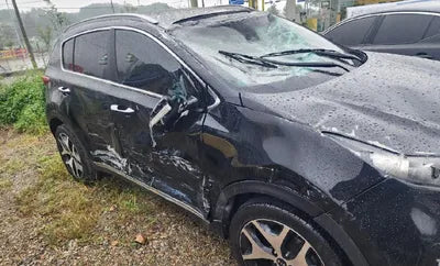 2016 Kia Sportage 121KMKNAPM813BGK0 VIN:121KMKNAPM813BGK0