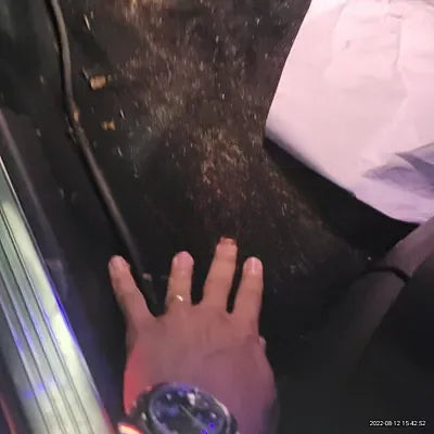 2017 Mercedes-Benz S 350 NONE VIN: