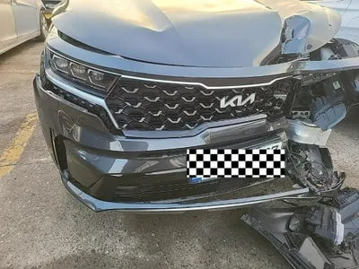 2022 Kia Sorento KNARF81GBNA119324 VIN:KNARF81GBNA119324