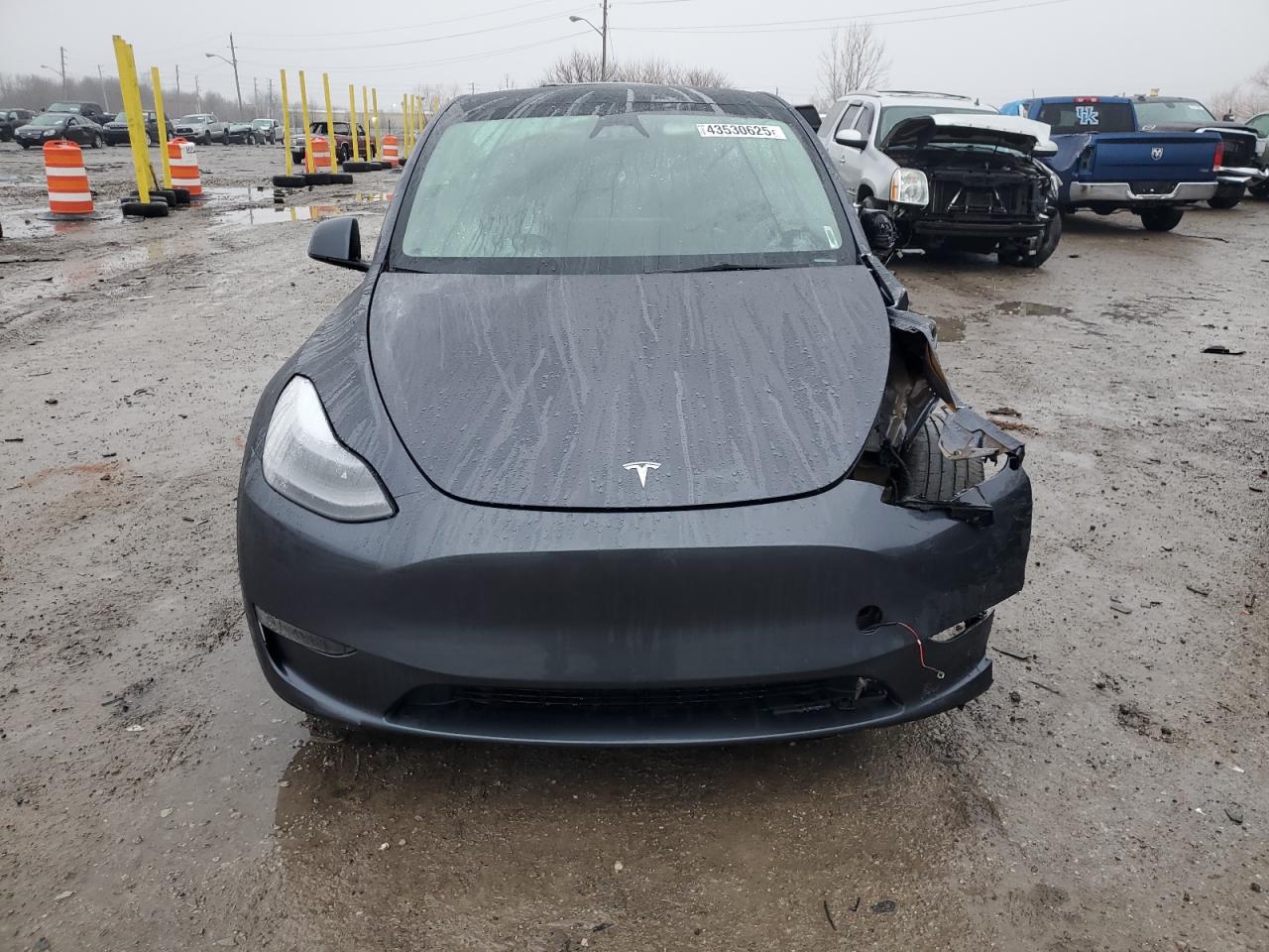 2023 TESLA MODEL Y  VIN:7SAYGDEE4PF870035