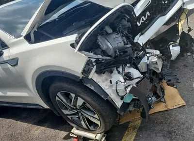 2022 Kia Sorento KNARG81GBNA101511 VIN:KNARG81GBNA101511