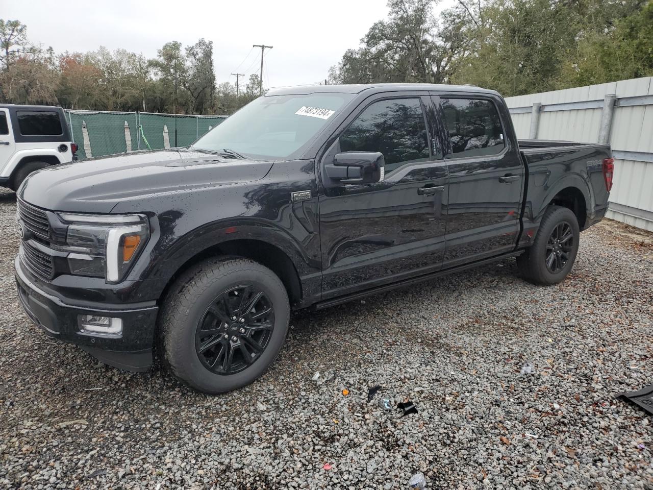 2024 FORD F150 PLATINUM VIN:1FTFW7L8XRFA82719