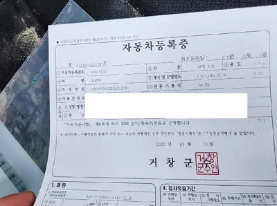 2019 Kia Sorento 315KMKNAPG81BBKA5 VIN:315KMKNAPG81BBKA5