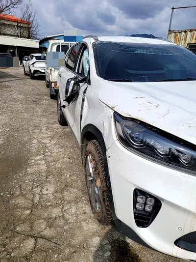 2020 Kia Sorento KNAPH811BLA645981 VIN:KNAPH811BLA645981