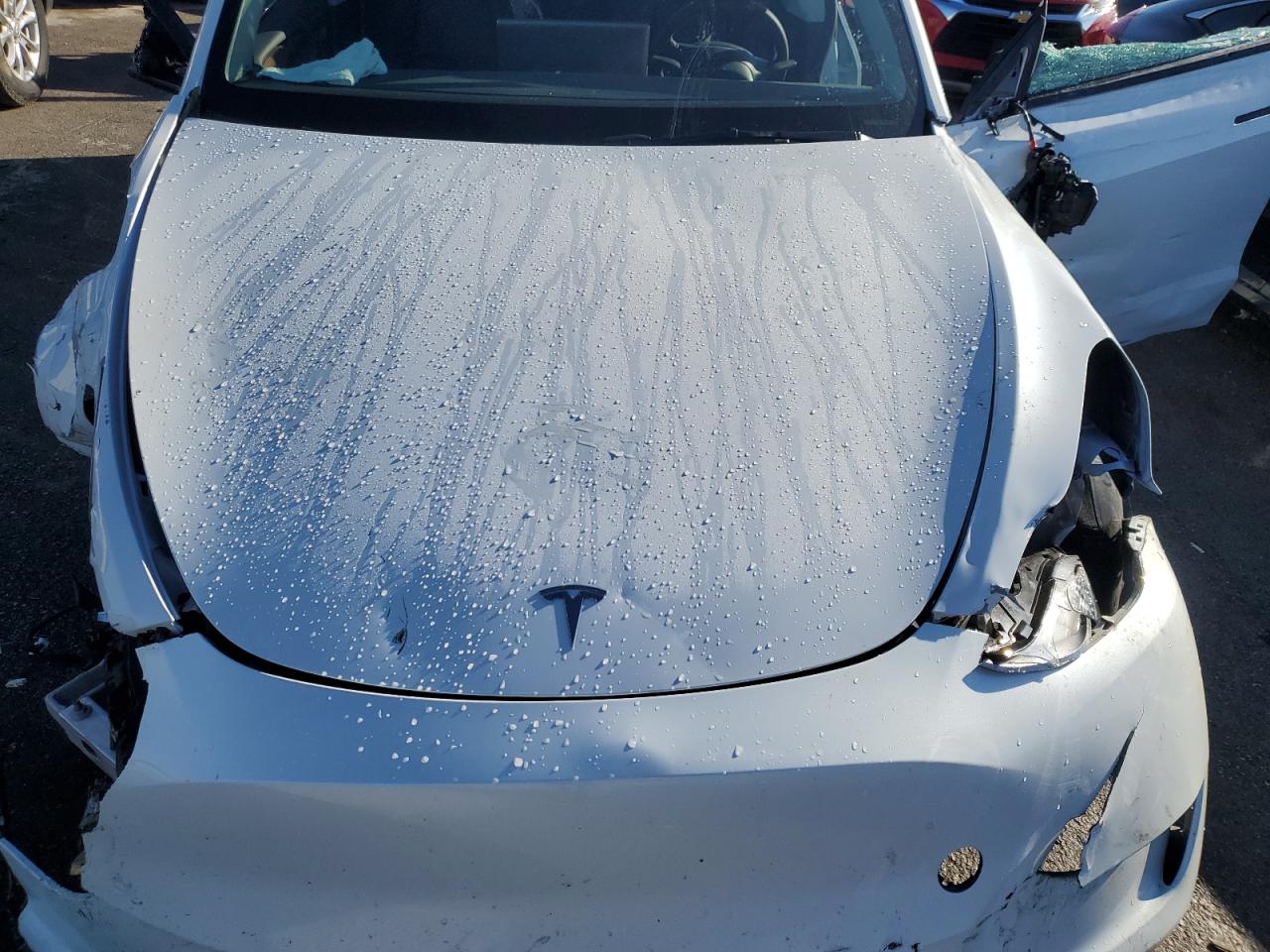 2023 TESLA MODEL Y  VIN:7SAYGDEE4PF687170