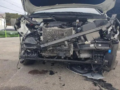 2021 Kia Carnival KNANE81BBMS025839 VIN:KNANE81BBMS025839