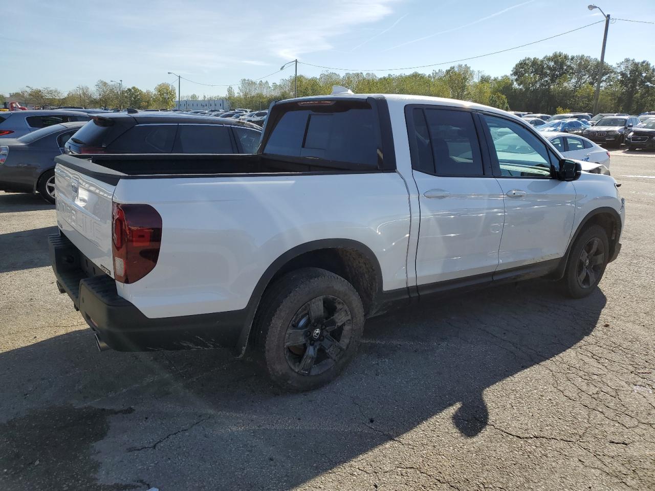 2024 HONDA RIDGELINE BLACK EDITION VIN:5FPYK3F8XRB008074