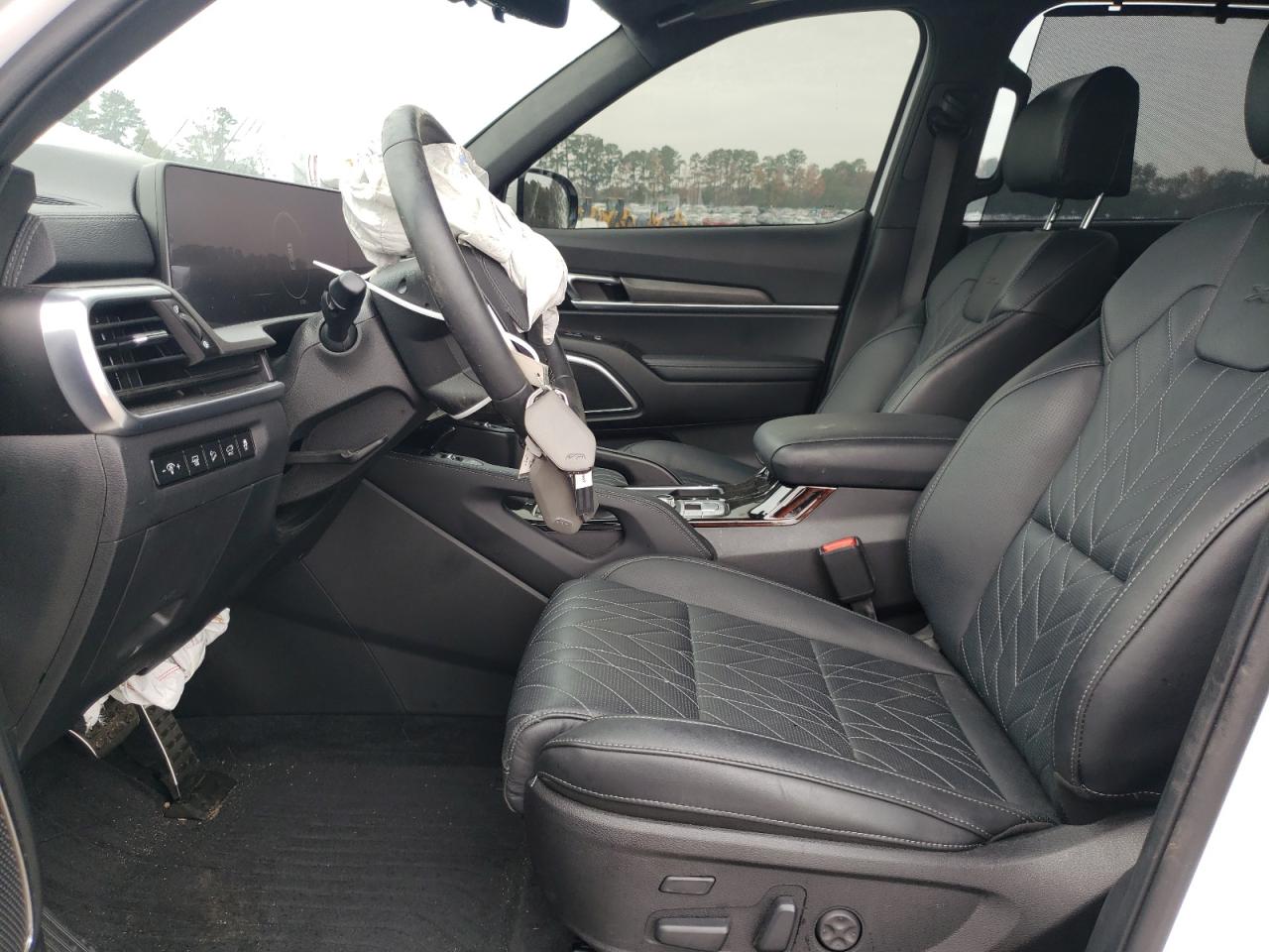 2023 KIA TELLURIDE SX VIN:5XYP5DGC9PG404586