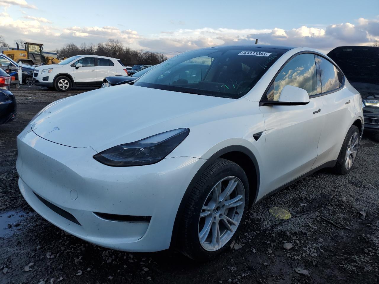 2023 TESLA MODEL Y  VIN:7SAYGDEE8PA160648