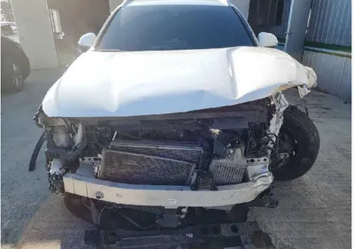 2021 Hyundai Santa FE KMHS381HGMU310393 VIN:KMHS381HGMU310393