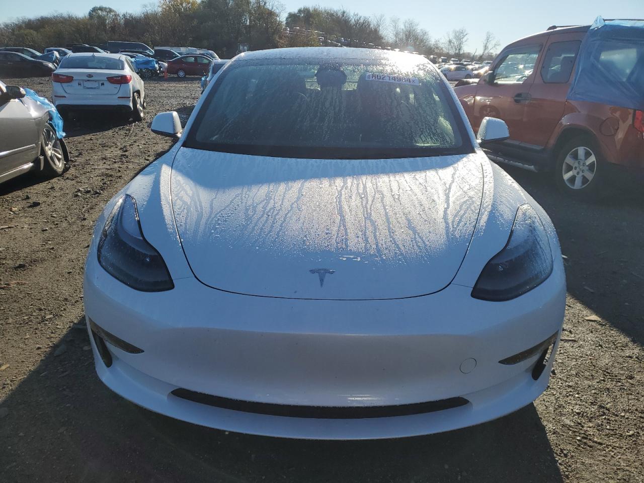 2023 TESLA MODEL 3  VIN:5YJ3E1EA3PF450677