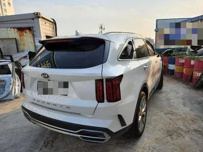 2020 Kia Sorento KNARK81BGMA002936 VIN:KNARK81BGMA002936