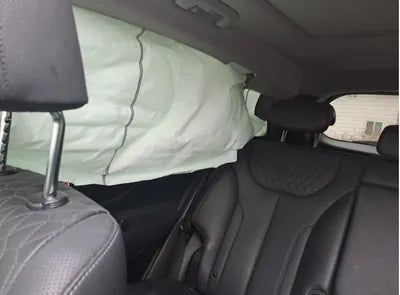 2020 Hyundai Santa FE KMHS381ABLU249880 VIN:KMHS381ABLU249880