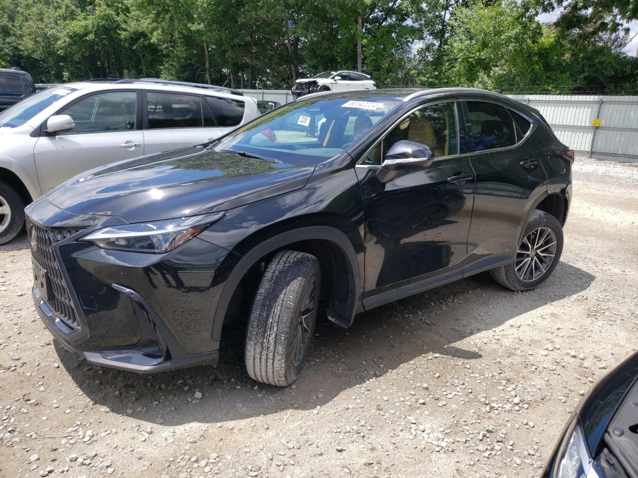 2023 LEXUS NX 350 VIN:2T2GGCEZ6PC029954