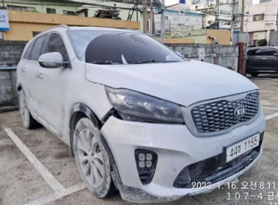 2019 Kia Sorento KNAPS81BDKA481049 VIN:KNAPS81BDKA481049