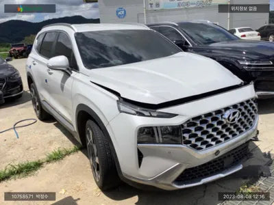 2020 Hyundai Santa FE KMHS381HGMU310238 VIN:KMHS381HGMU310238