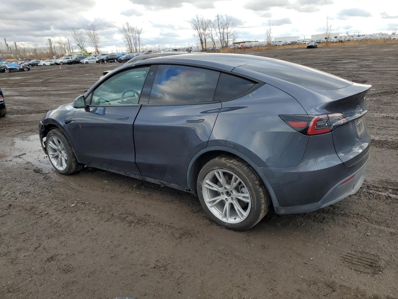 2023 TESLA MODEL Y  VIN:7SAYGDEEXPF595660