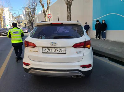 2015 Hyundai Santa FE KMHSW81UDGU601982 VIN:KMHSW81UDGU601982