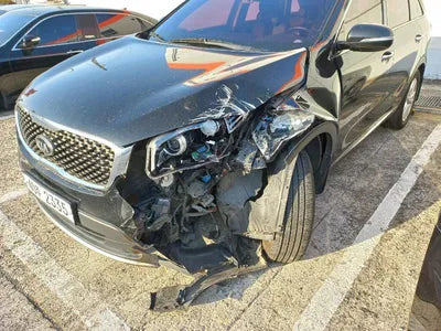 2016 Kia Sorento KNAPS81ABGA127564 VIN:KNAPS81ABGA127564