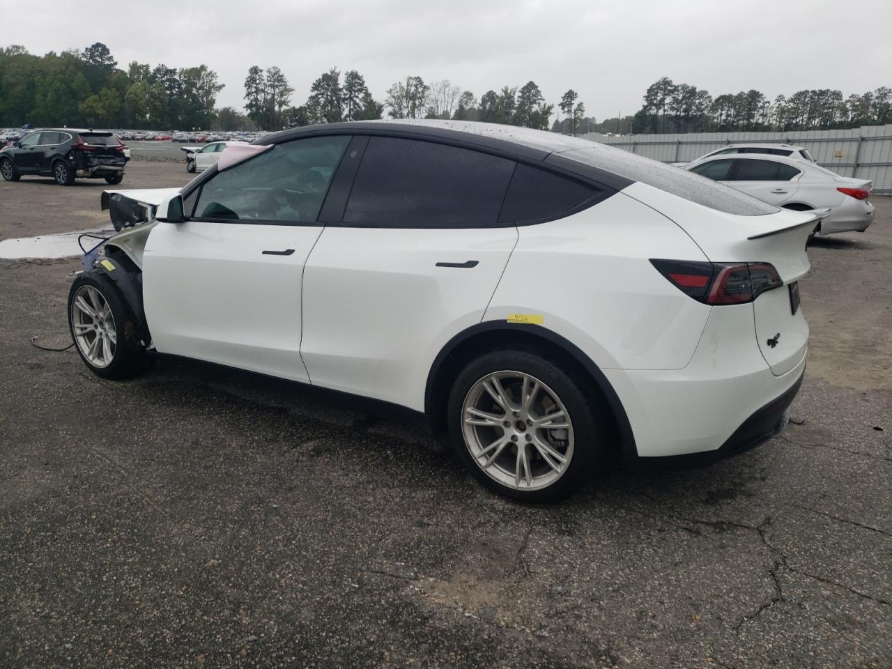 2023 TESLA MODEL Y  VIN:7SAYGDEE6PF667745