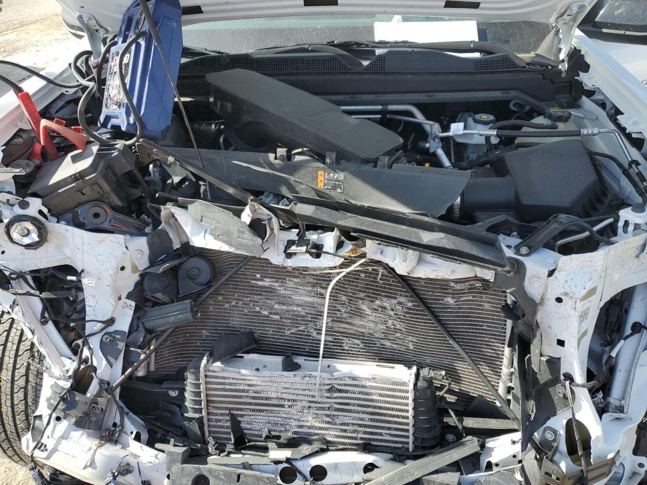 2024 CHEVROLET COLORADO  VIN:1GCPTBEK8R1112919