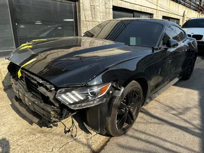 2017 Ford Mustang 1FA6P8TH9H5338409 VIN:1FA6P8TH9H5338409
