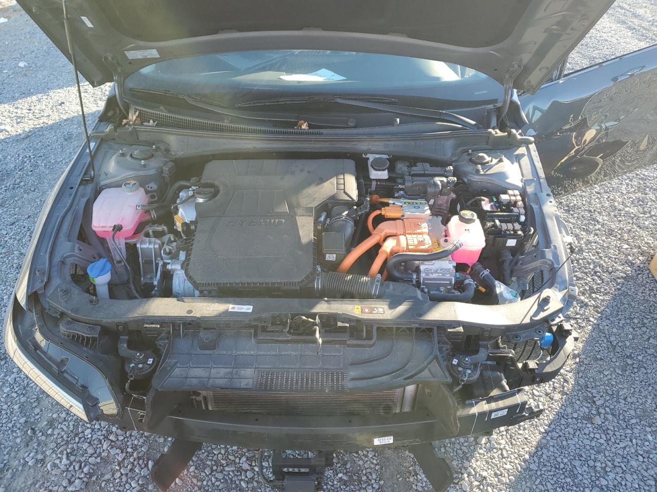 2024 HYUNDAI ELANTRA LIMITED VIN:KMHLN4DJ1RU096800