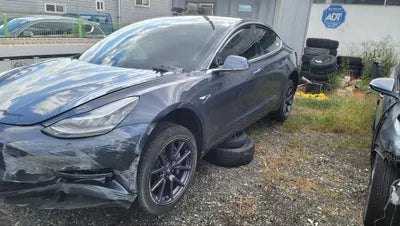 2020 Tesla Model 3 5YJ3E1EB9LF725407 VIN:5YJ3E1EB9LF725407