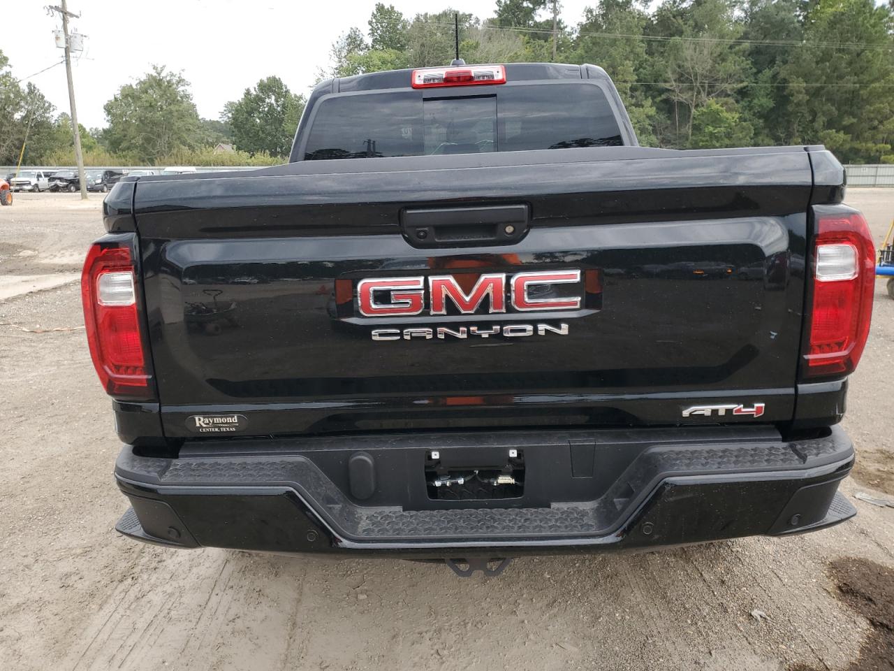 2024 GMC CANYON AT4 VIN:1GTP6DEK3R1219220