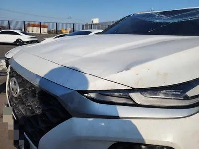 2019 Hyundai Santa FE KMHS281BBKU177128 VIN:KMHS281BBKU177128