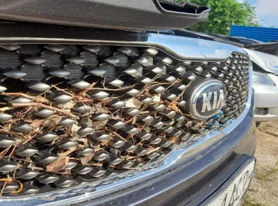 2017 Kia Sorento KNAPK81ABHA333055 VIN:KNAPK81ABHA333055