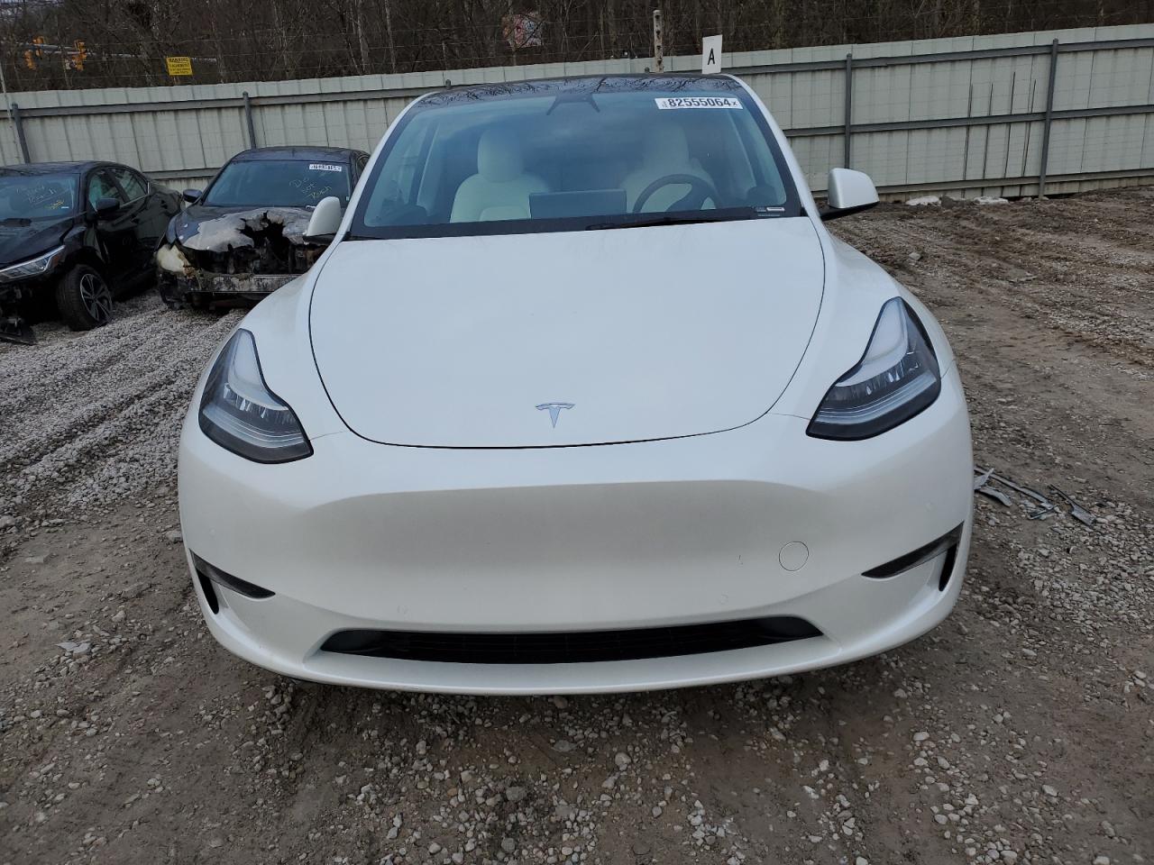 2022 TESLA MODEL Y  VIN:7SAYGAEE3NF467627