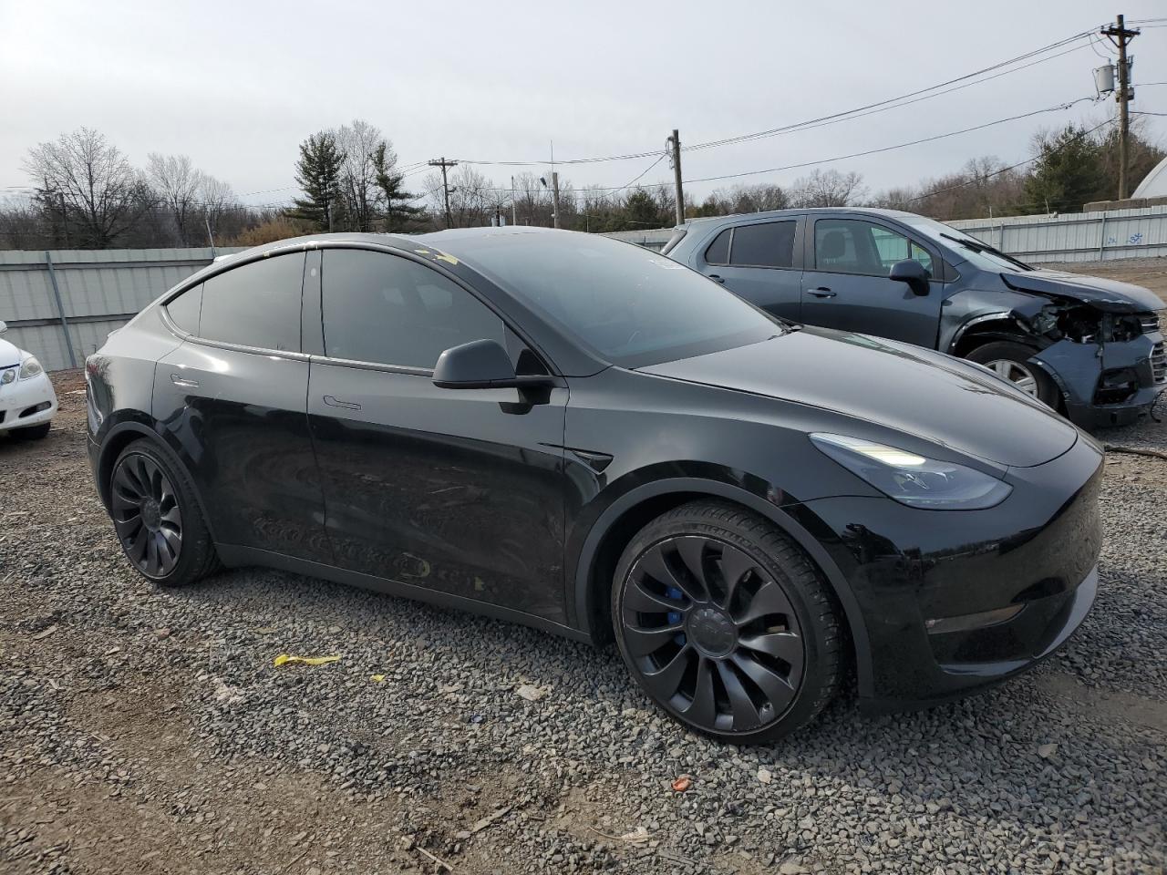 2022 TESLA MODEL Y  VIN:7SAYGDEF4NF546184