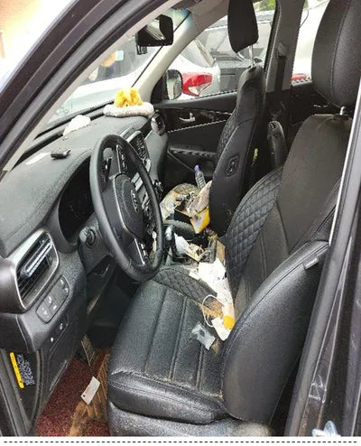 2020 Kia Sorento KNAPH81BDLA596979 VIN:KNAPH81BDLA596979