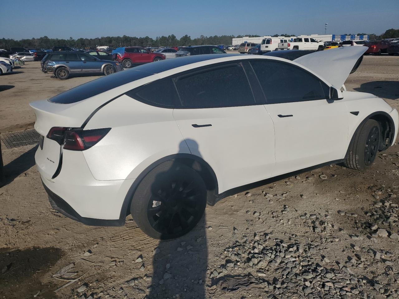2024 TESLA MODEL Y  VIN:7SAYGDEE9RA268389