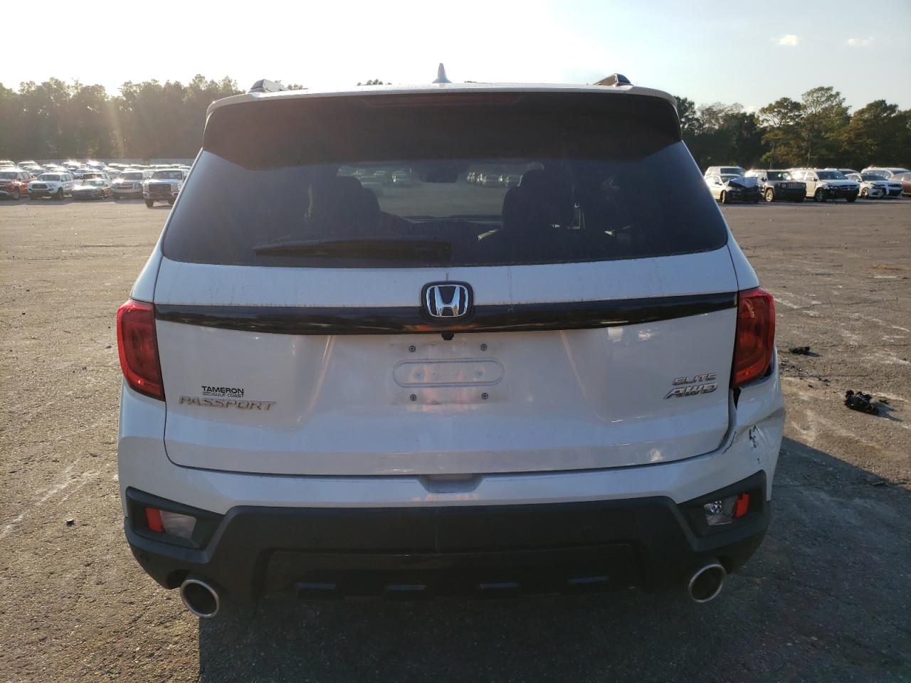 2023 HONDA PASSPORT ELITE VIN:5FNYF8H04PB006352