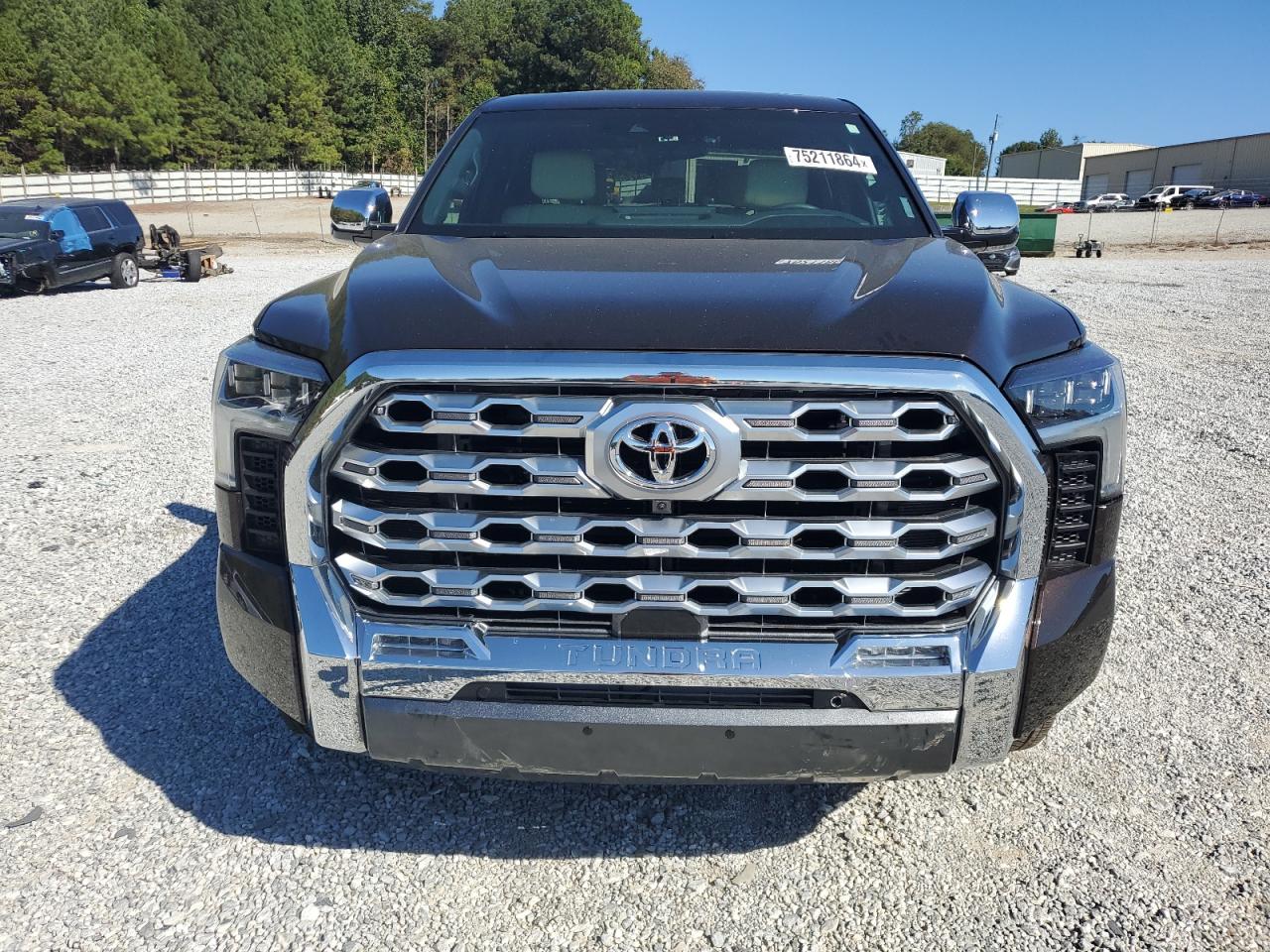 2024 TOYOTA TUNDRA CREWMAX PLATINUM VIN:5TFMA5DB6RX194187