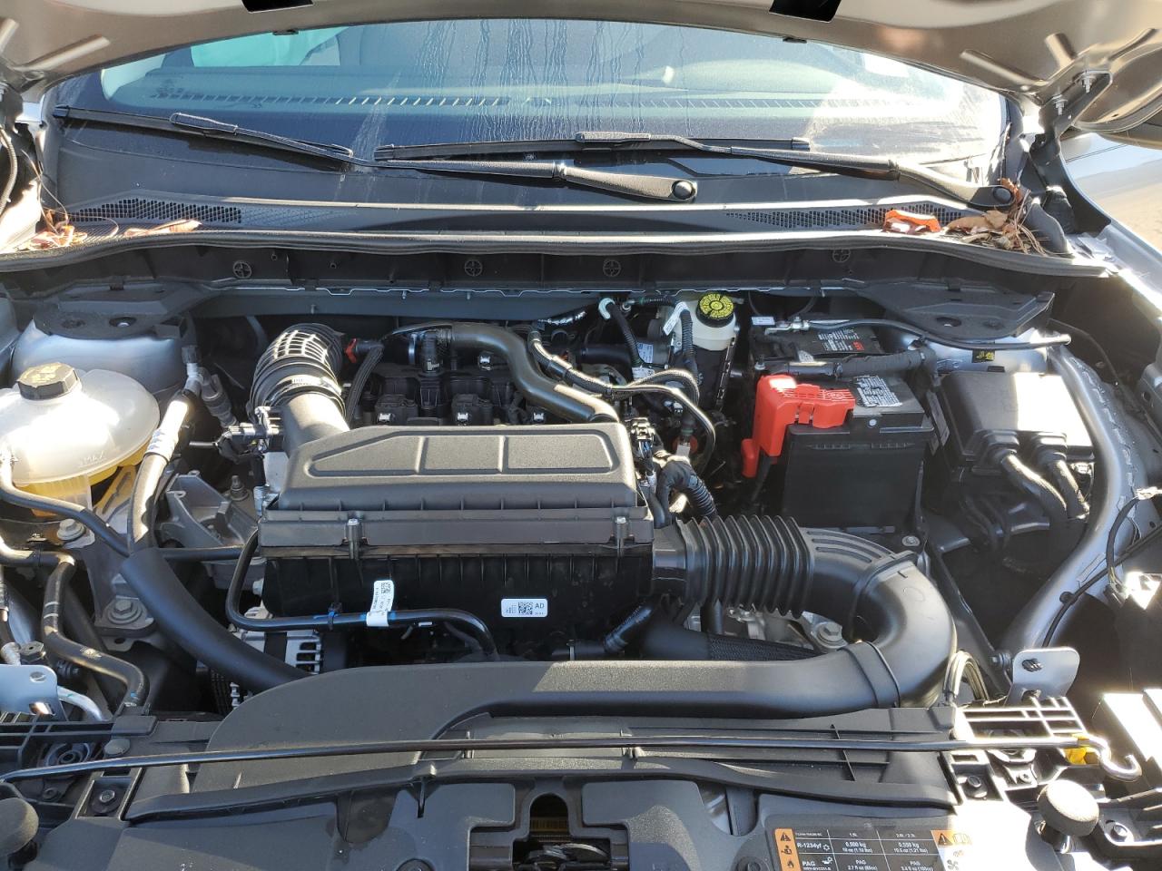 2024 FORD ESCAPE ACTIVE VIN:1FMCU0GN6RUA92378